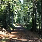 Les Saules Et Les Charmes Feriehus Saint-Remy (Vosges)