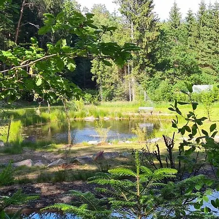 Les Saules Et Les Charmes