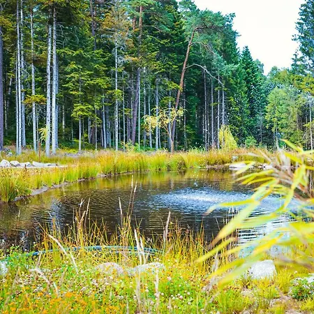 Les Saules Et Les Charmes *