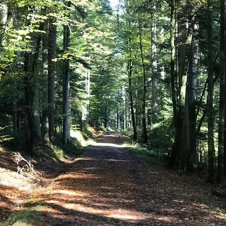 Les Saules Et Les Charmes Holiday home Saint-Remy (Vosges)
