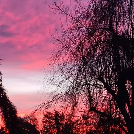 Les Saules Et Les Charmes Holiday home *