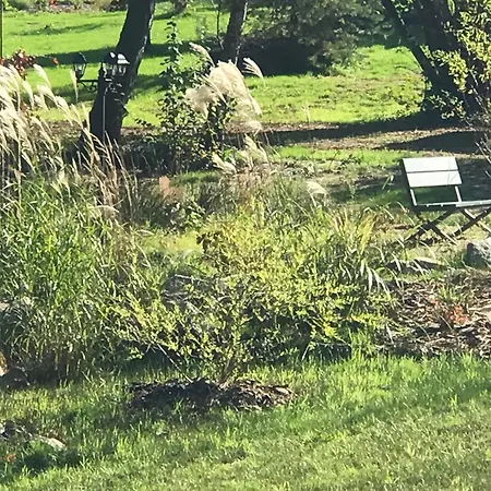 Les Saules Et Les Charmes * Saint-Remy (Vosges)