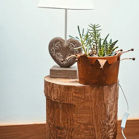 Les Saules Et Les Charmes