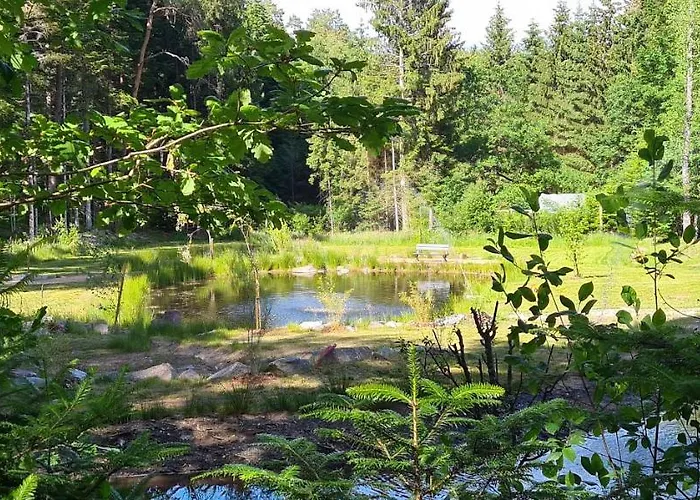 Les Saules Et Les Charmes