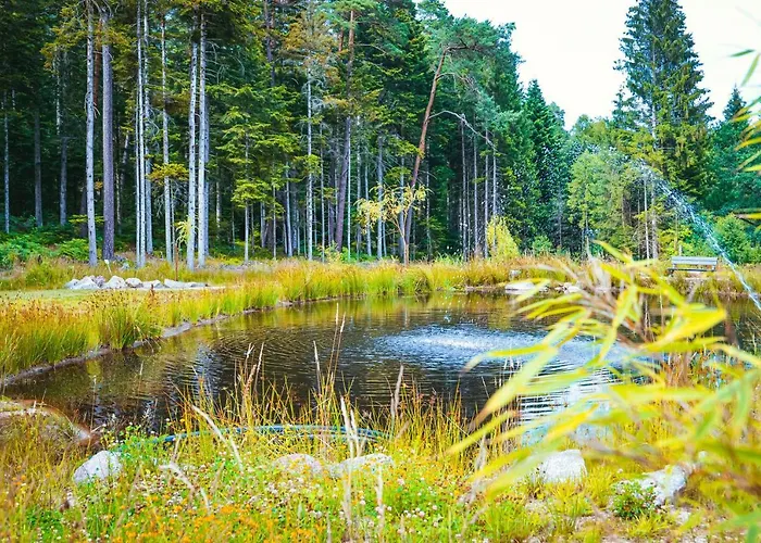 Les Saules Et Les Charmes *