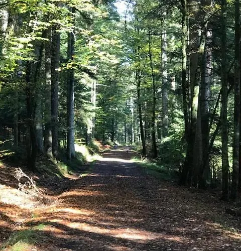 Les Saules Et Les Charmes 펜션 Saint-Remy (Vosges)