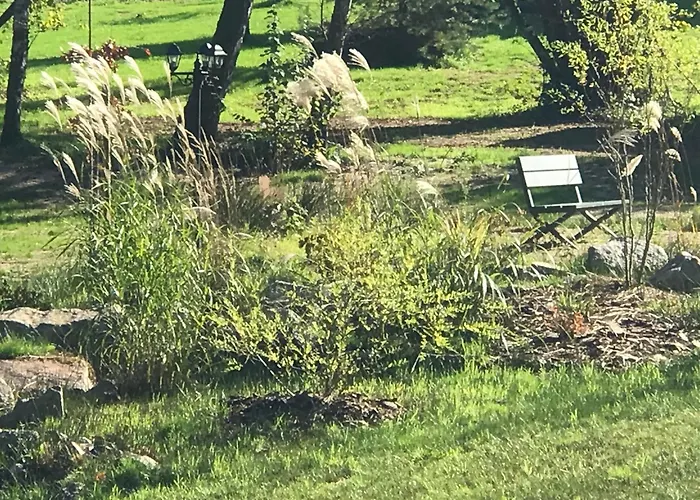 Les Saules Et Les Charmes * Saint-Remy (Vosges)
