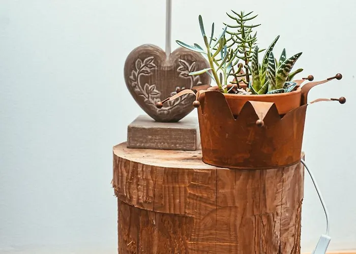 Les Saules Et Les Charmes